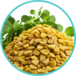 Methi (50mg)(Trigonella Foenum-Graecum)