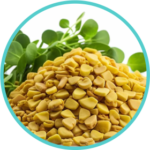 Methi Extract (50mg) (Trigonella Foenum-Graecum)