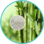 Vanshlochan (50mg) (Bambusa Arundinacea)