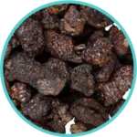 Laksha (100mg) (Laccifer Lacca)