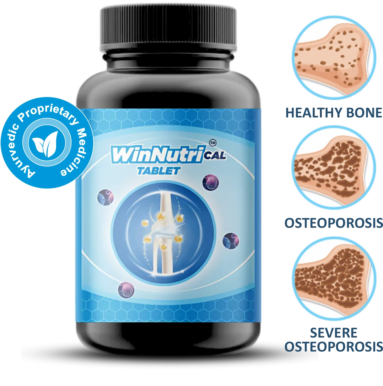 WinnutriCal2-e1732709797612