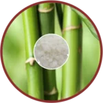 Vanshlochan (50mg) (Bambusa Arundinacea)