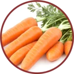 Gajar Extract (50mg) (Daucus Carota)