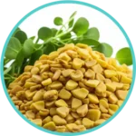 Methi Extract (50mg) (Trigonella Foenum-Graecum)