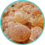 Babool Gond (100mg) (Acacia Arabica)