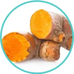 Haldi (Curcummin Extract) (100mg) (Curcuma Longa)